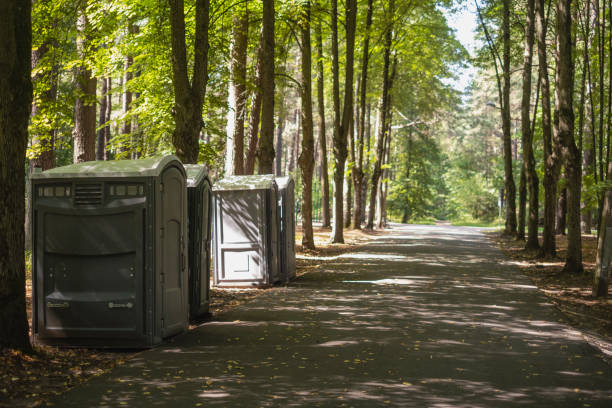 Best Sanitation services for porta potties  in Lake Delton, WI